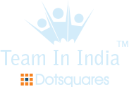 Team In India logo